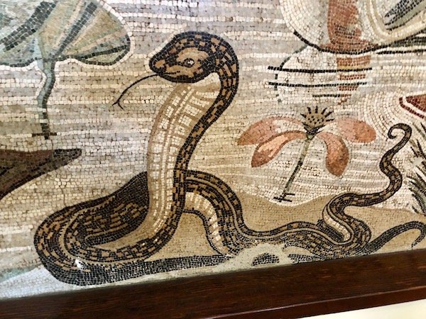 mosaico serpente